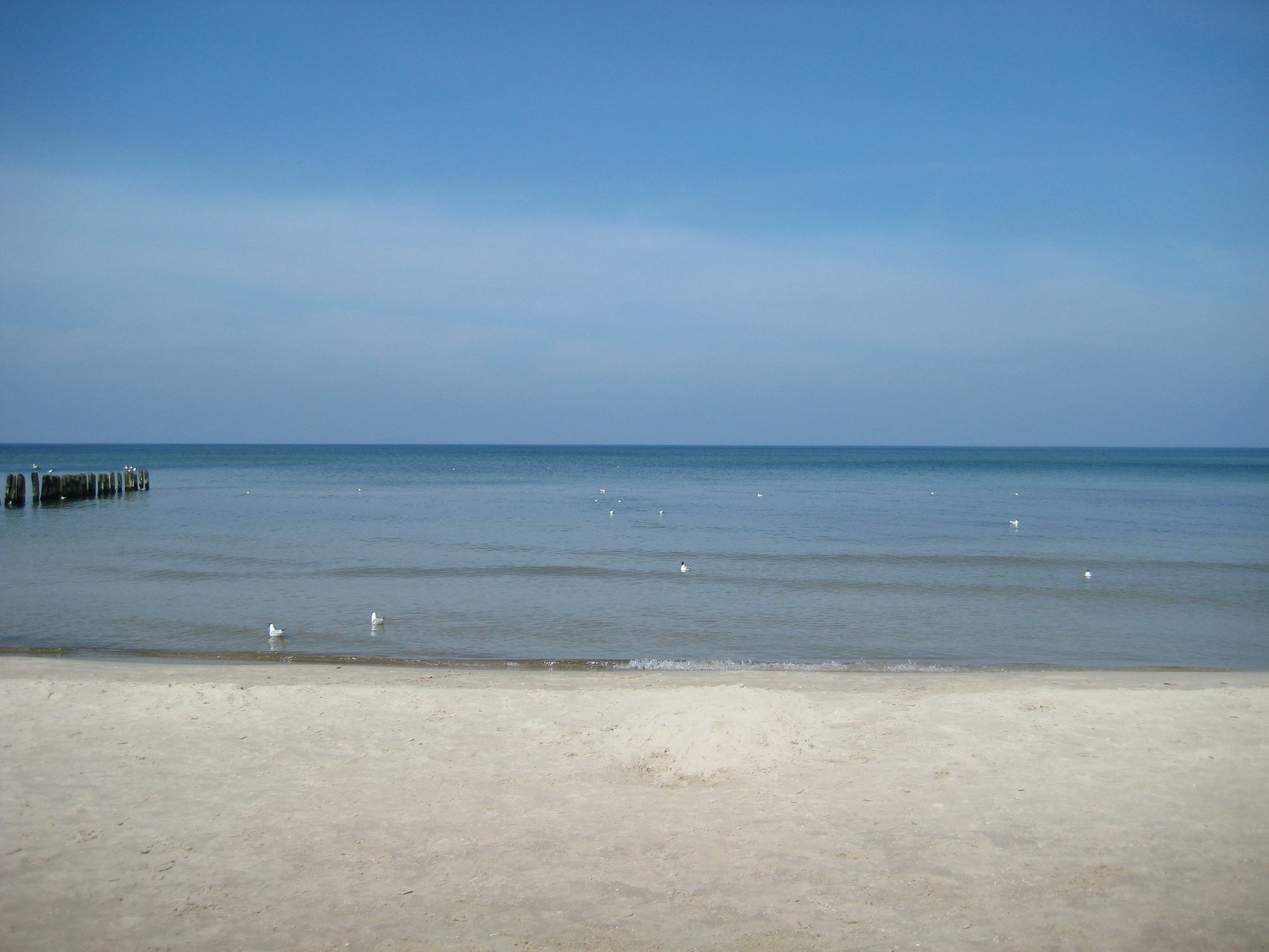 Pelikan Resort Dzwirzyno - Domki Przy Plazy ภายนอก รูปภาพ